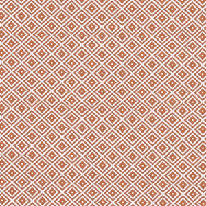 Oilcloth Enduits: Keeston Spice Oilcloth