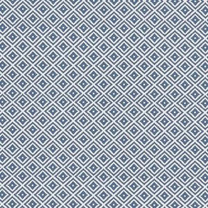 Oilcloth Enduits: Keeston Denim Oilcloth