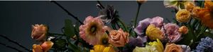 Products: Occasions