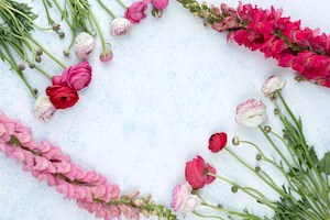 Archive - The Fabulous Flowers