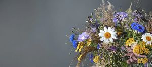 Page 3 of 8 - The Fabulous Flowers