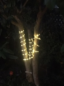 SOLAR Strip Light 5 metres