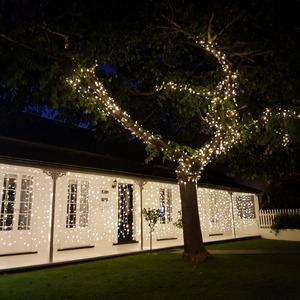 CURTAIN Lights on a clear wire – 1M x 2M warm white