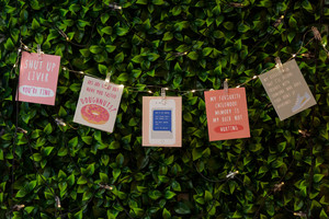SEED Lights with Photo Clips