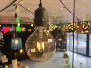 FESTOON Vintage Lights with GOLD bulbs