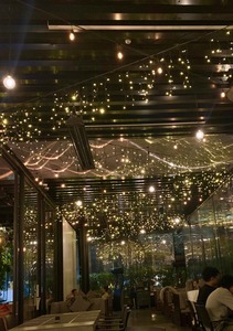 LONG FRINGE fairy lights on black wire
