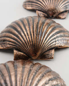 Copper Scallop Shell