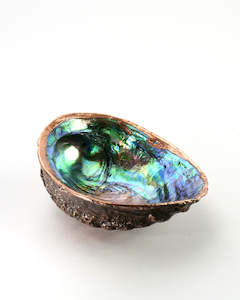 Sculpture: Copper Paua Shells