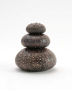 Kina Shells - Copper