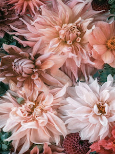 Greeting Card - Inspiration