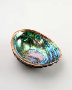 Sculpture: Copper Plated Pāua Shells