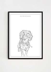 Pet Illustrations