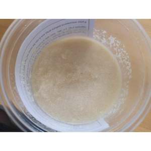 Betta Food: Microworm Cuture