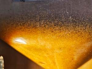 Fry Food: Brine Shrimp Eggs