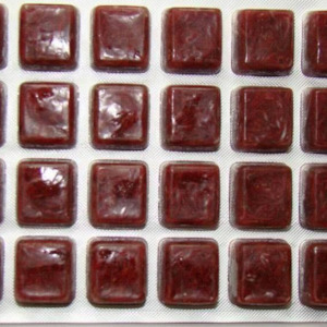 Frozen Food: Frozen Bloodworms 100g