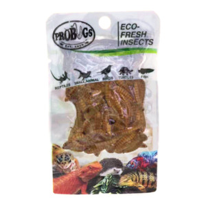 Probugs: ProBugs Meal Worms