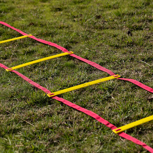 Agility: Agility Ladder