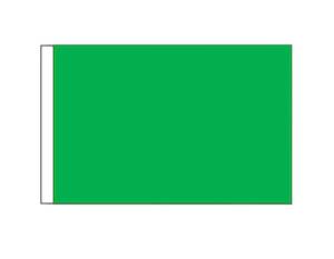 Racing Flags: Green (Small)