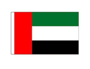 Boat Courtesy Flags: United Arab Emirates  (Small)
