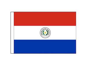Boat Courtesy Flags: Paraguay (Small)