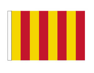 Yellow/Red - Track Issue (Medium)