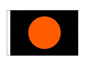 Racing Flags: Orange Disc - Unsafe Vehicle (Medium)