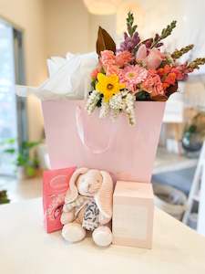 Baby Bundles: Baby bundle | Blush