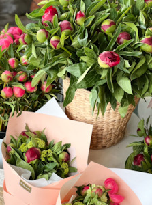 Peony Collection: Peony Posy