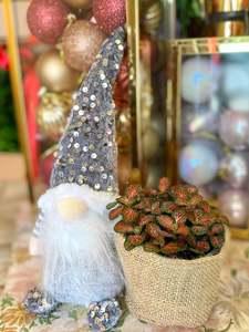 Christmas Collection: Magic Gnomes