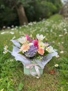 Mothers Day: Pistachio Box