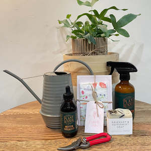Little Luxuries Selection: The Plant Lovers Package