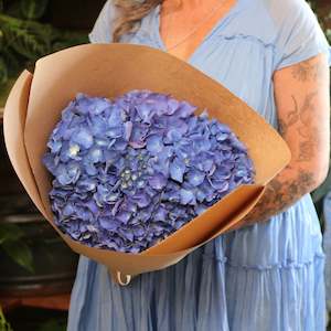 Flowers: Hydrangea Bundle