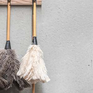 Cleaning: Feather Duster