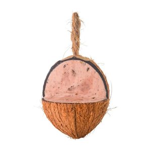 Garden Accessories: Top Flite - Wild Bird Coconut Feeder, Bug and Berry