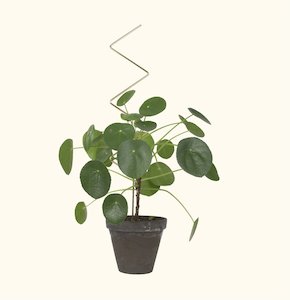 Botanopia: Golden Plant Stake - Zig Zag