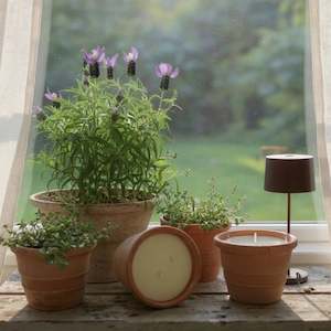 Amanda Alexander - Olive & Fig Province Candle