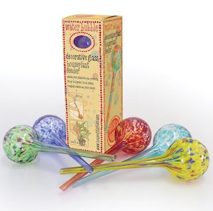 Watering: Water Bubble - Houseplant Feeder