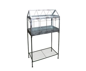 Plant Stand: Vintage Glasshouse Terrarium on Stand
