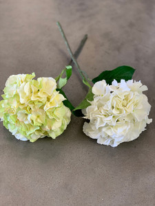 Products: Hydrangeas theflowermerchant