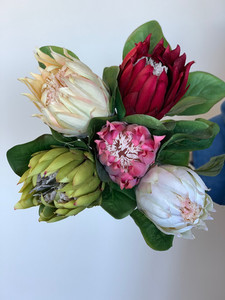 Products: Proteas theflowermerchant