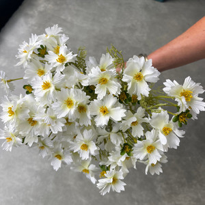 Products: White Daisy - bunch theflowermerchant