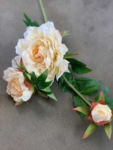 Products: Peony 3 Heads theflowermerchant