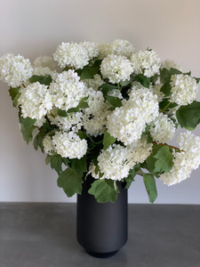 Products: Snowballs theflowermerchant