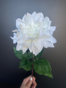Products: White Dahlia theflowermerchant