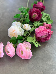 Products: Ranunculus theflowermerchant