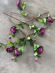 Products: Purple Camelia theflowermerchant