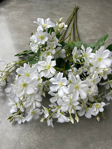 Products: Dogwood - Short theflowermerchant