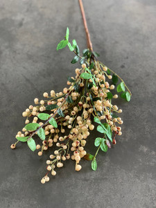 Products: Cream Berry Spray theflowermerchant