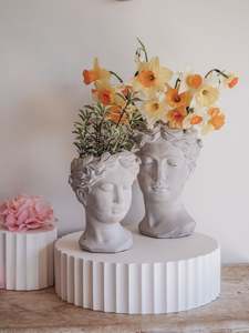Isabella | Cement head Planter