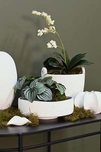 Bella Bowl | White